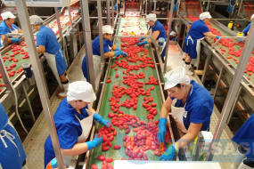 Arcidiocesi Ferrara-Comacchio