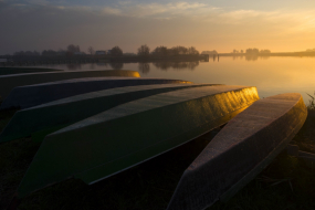 Arcidiocesi Ferrara-Comacchio